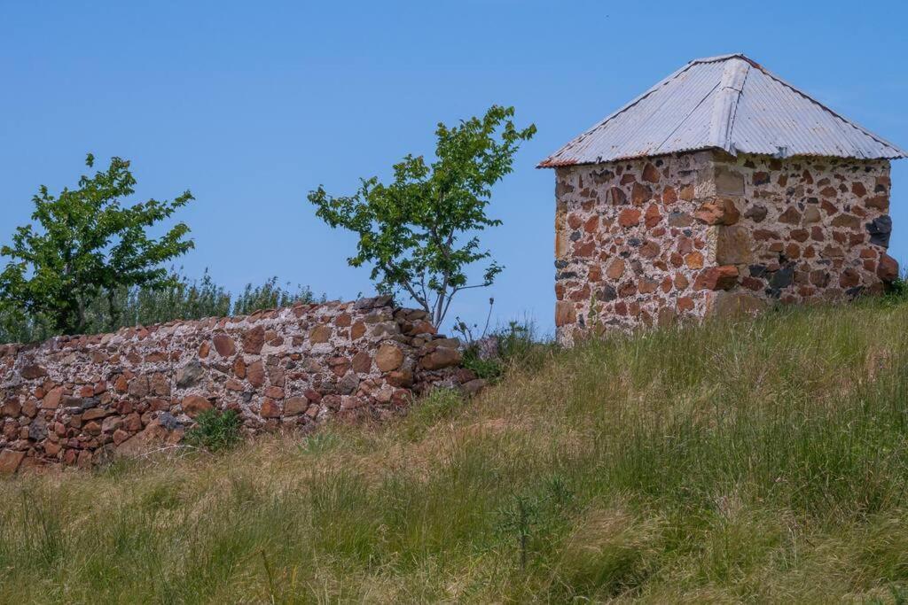*Newly Relisted* Coach House At Lisdillon Vineyard Villa Little Swanport Buitenkant foto