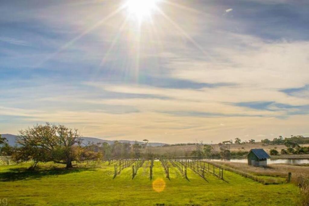 *Newly Relisted* Coach House At Lisdillon Vineyard Villa Little Swanport Buitenkant foto